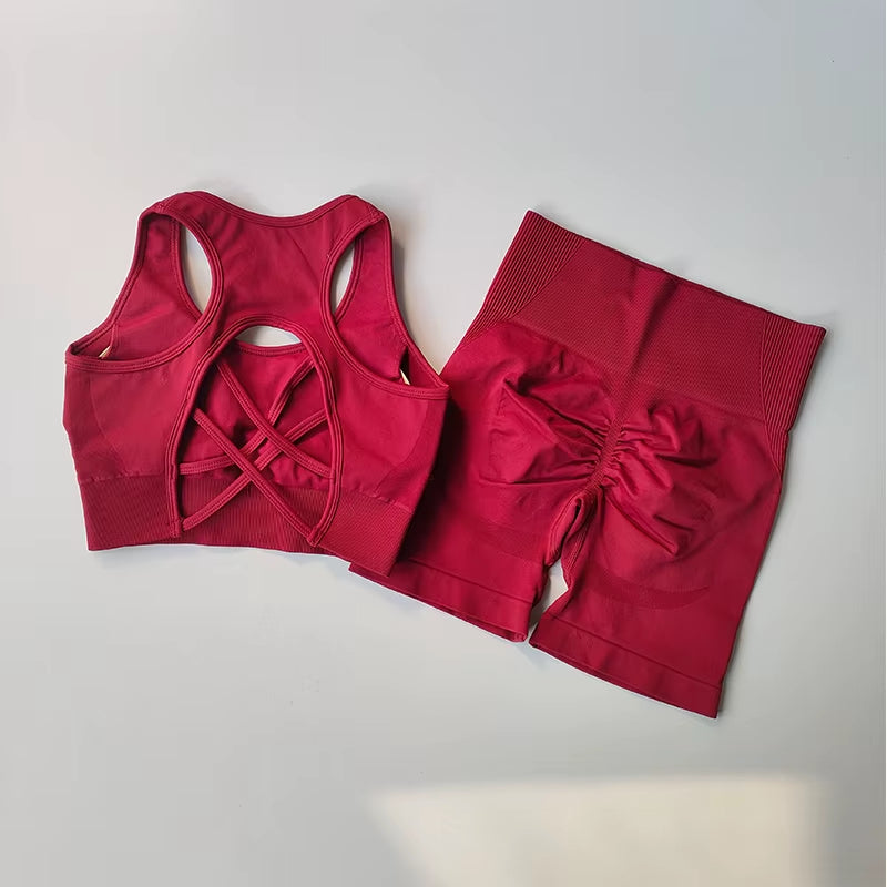 Seamless 2-Piece Workout Set – High Waist Shorts & Sport Bra