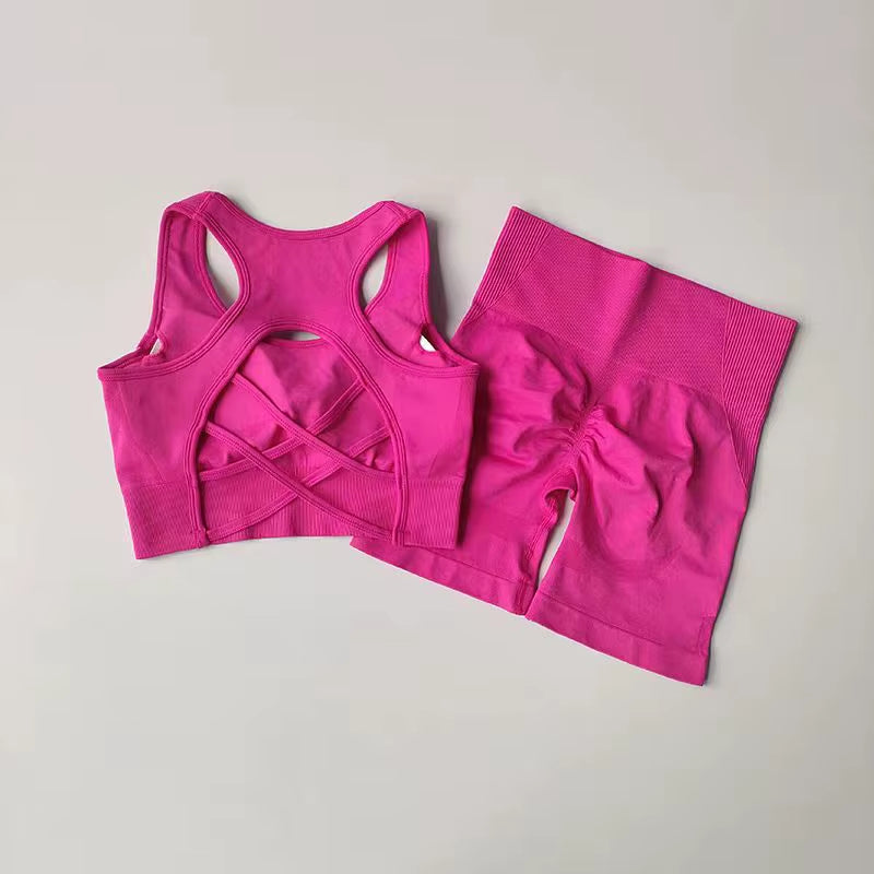 Seamless 2-Piece Workout Set – High Waist Shorts & Sport Bra