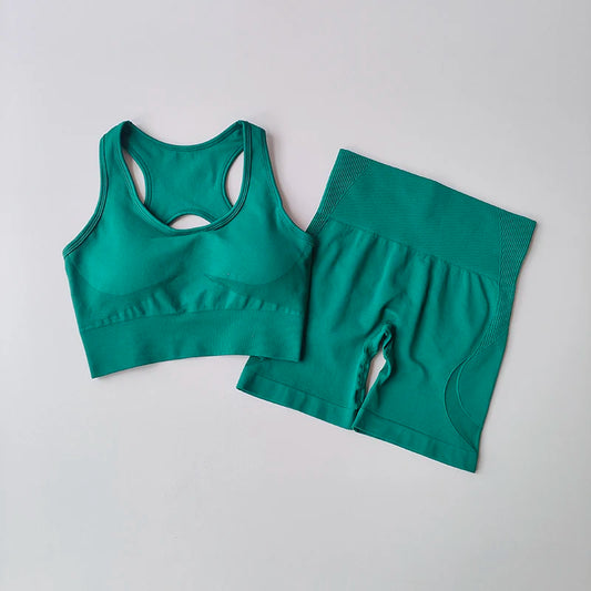 Seamless 2-Piece Workout Set – High Waist Shorts & Sport Bra