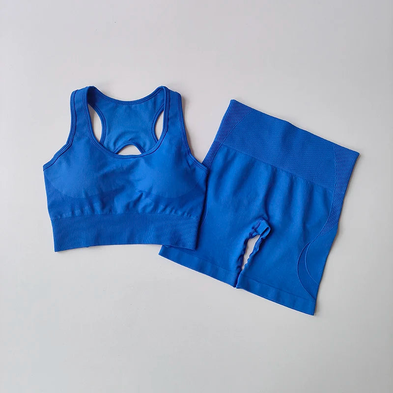 Seamless 2-Piece Workout Set – High Waist Shorts & Sport Bra