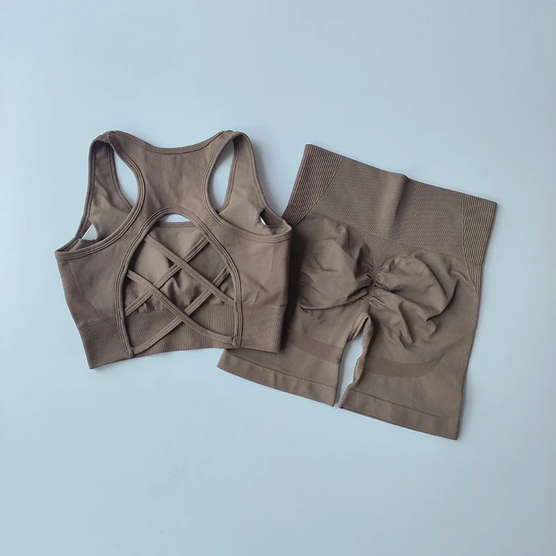 Seamless 2-Piece Workout Set – High Waist Shorts & Sport Bra