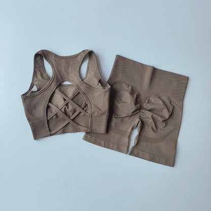 Seamless 2-Piece Workout Set – High Waist Shorts & Sport Bra