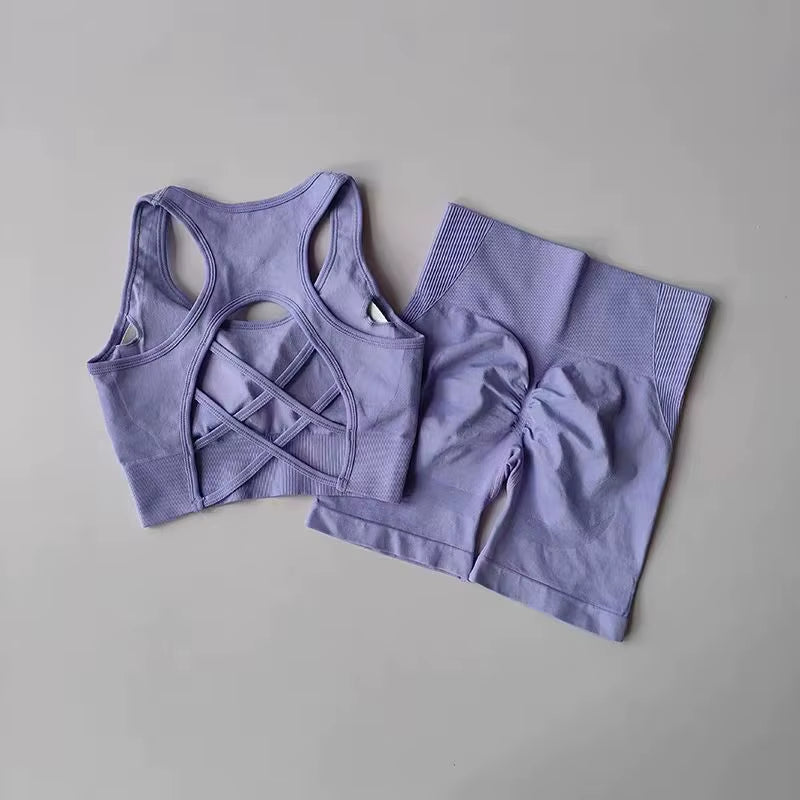 Seamless 2-Piece Workout Set – High Waist Shorts & Sport Bra